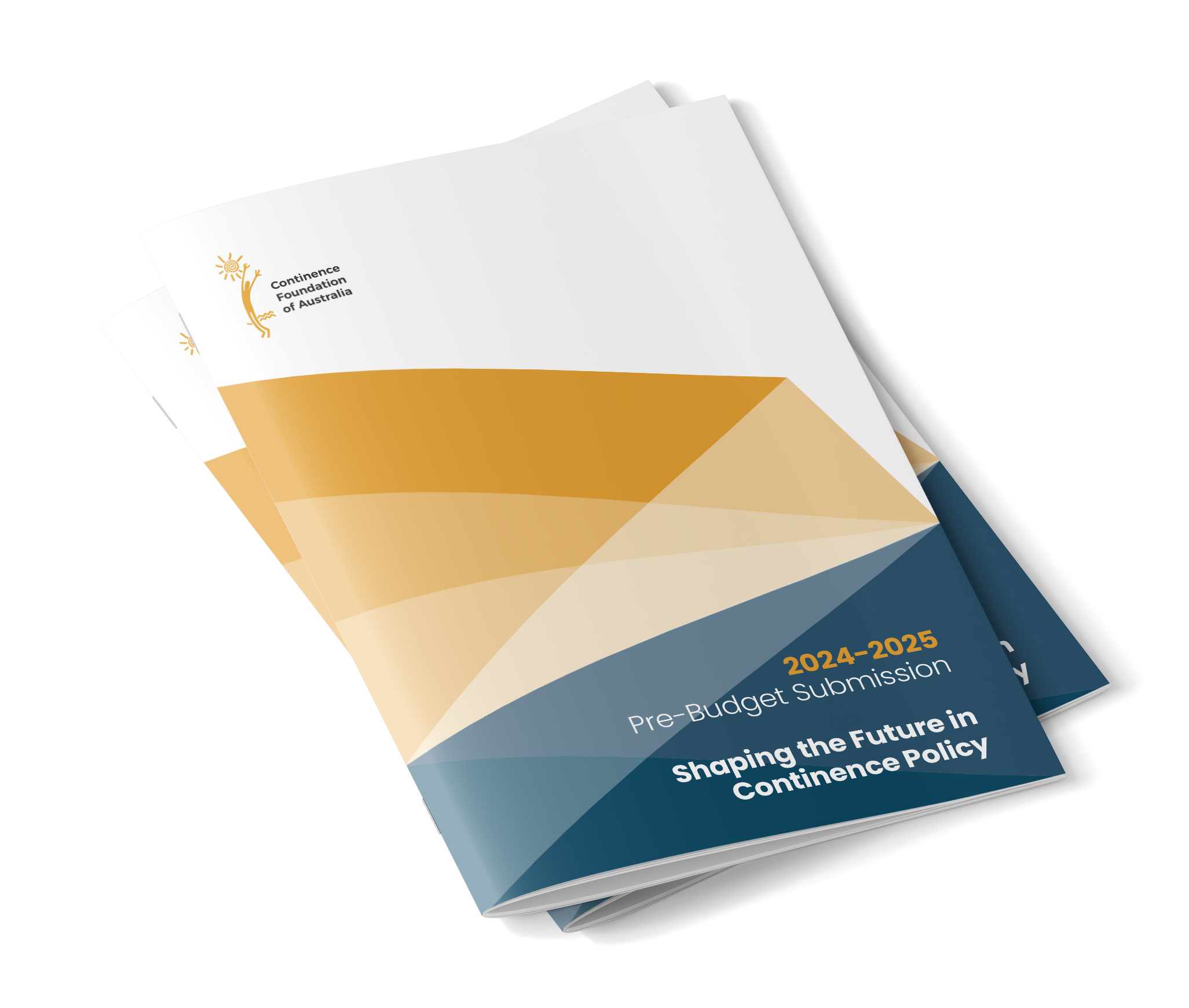 2024-2025 Pre-Budget Submission